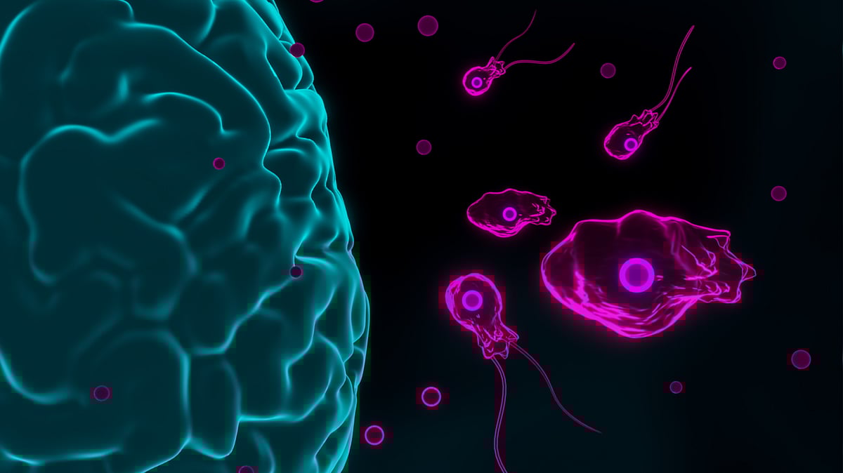 15-Year-Old Kerala Boy Dies From 'Brain-Eating Amoeba': What Is Pam? How  Does It Spread?