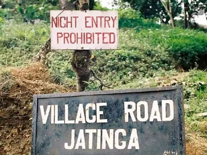 Assam's Jatinga is known as the 'Valley of Death' because of a strange phenomenon that happens nowhere else on earth