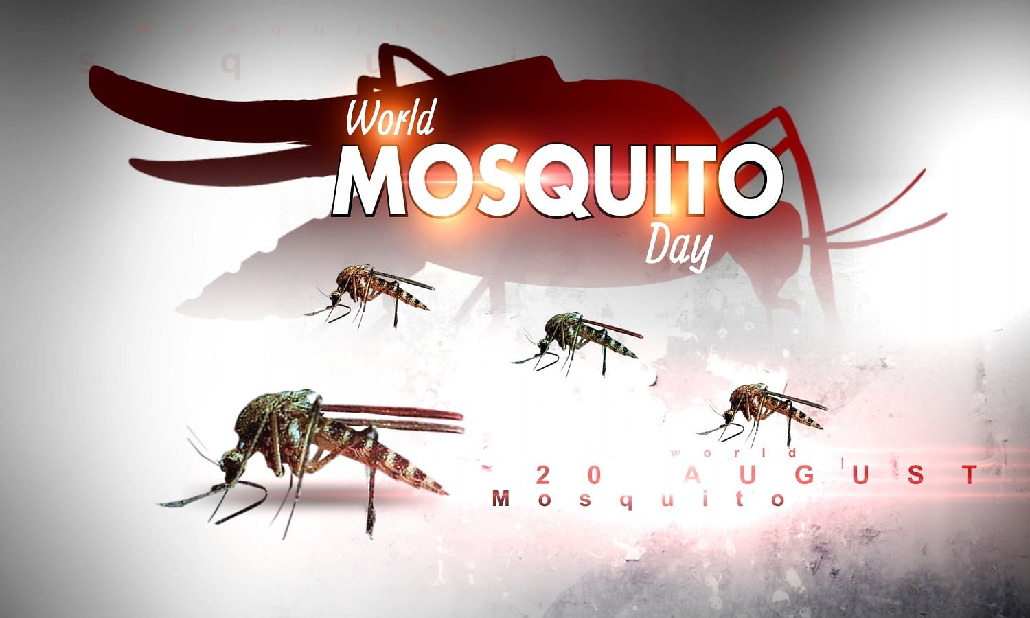 <div class="paragraphs"><p>World Mosquito Day 2023: Know the date, theme, history, significance, and more.</p></div>