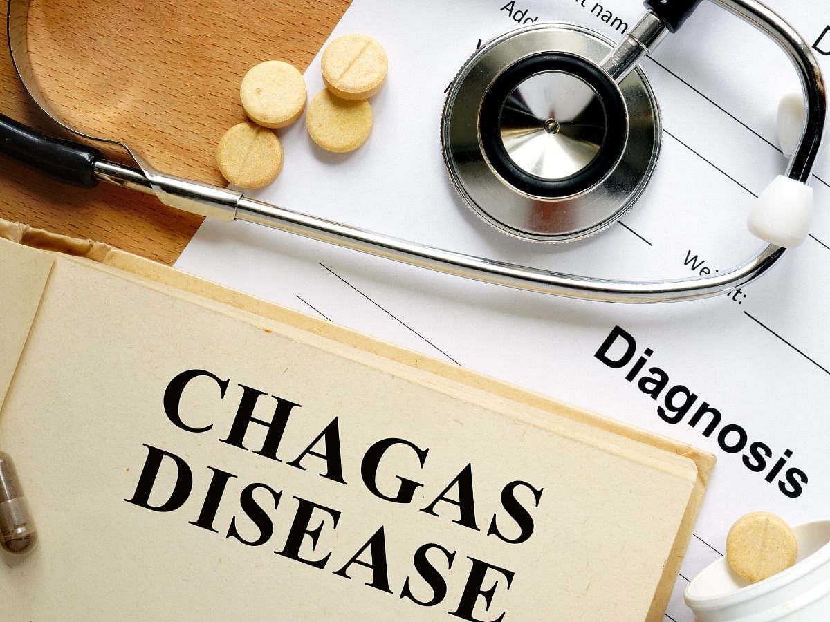 <div class="paragraphs"><p>Know everything about Chagas Disease</p></div>