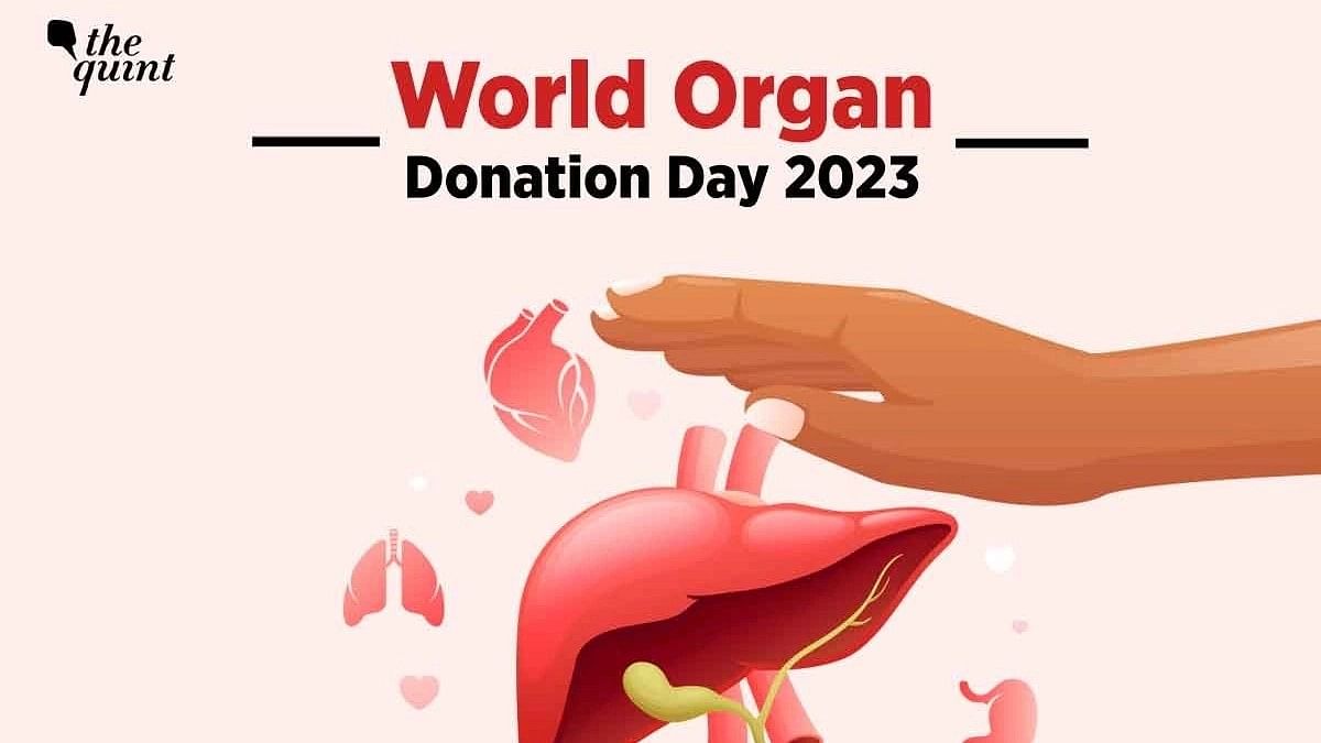 <div class="paragraphs"><p>World Organ Donation Day 2023 history and importance are stated here for the readers.</p></div>