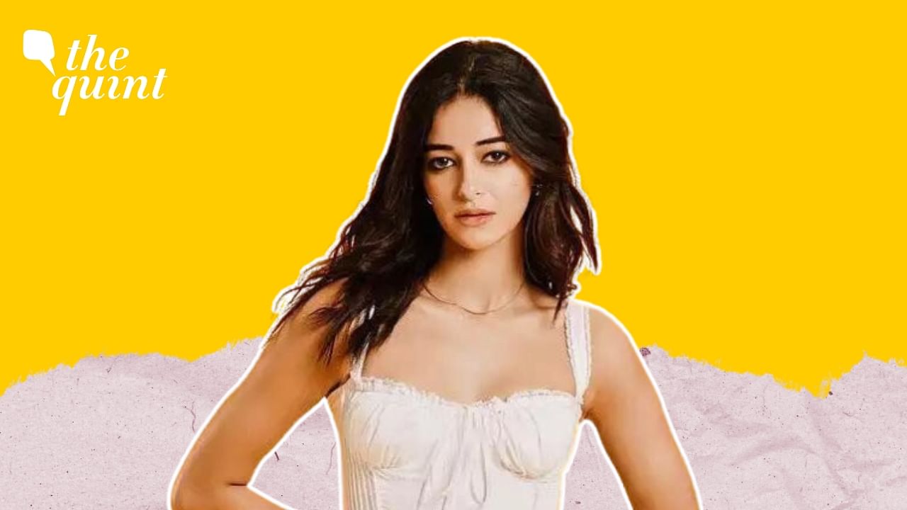 <div class="paragraphs"><p>Ananya Panday stars in Dream Girl 2</p></div>