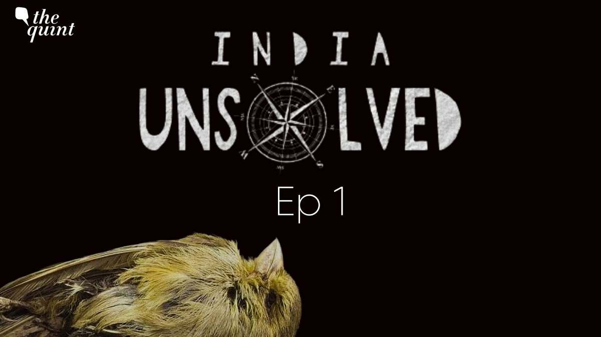 India Unsolved Ep 1: Decoding Mass Bird 'Suicides' in Assam