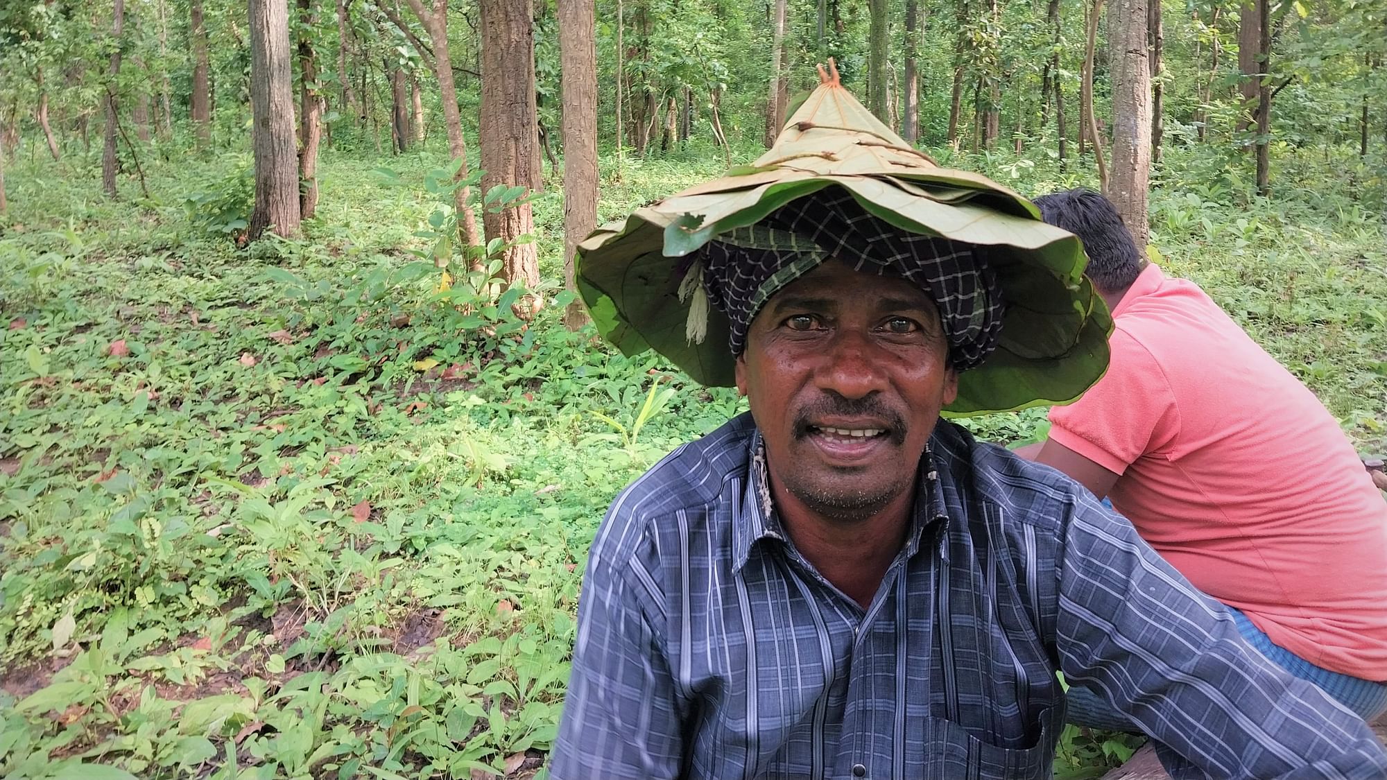 <div class="paragraphs"><p>Santu Yadav, with his ready smile, is adept at making hats from large Mahul leaves to shield himself from heavy rains while grazing cattle inside the forest.</p></div>