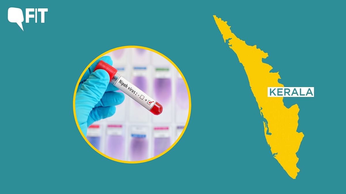 Two Nipah Virus Deaths Confirmed in Kerala, Health Alert Issued