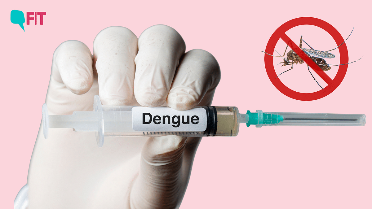 Over 4,000 Dengue Cases in Bengaluru: Why Is It Witnessing a Spike in Cases?