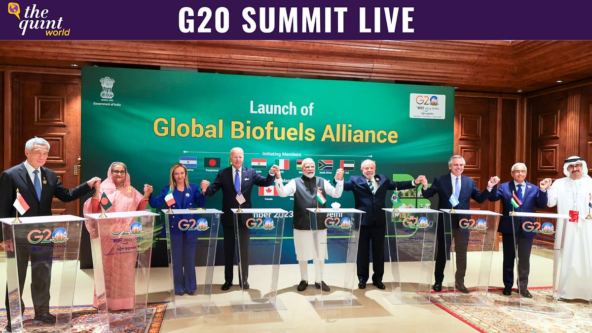 G20 New Delhi Summit Day 2 LIVE Updates: Rajghat Visit, Tree Planting Ceremony, Events Scheduled for Leaders - Vimarsana News