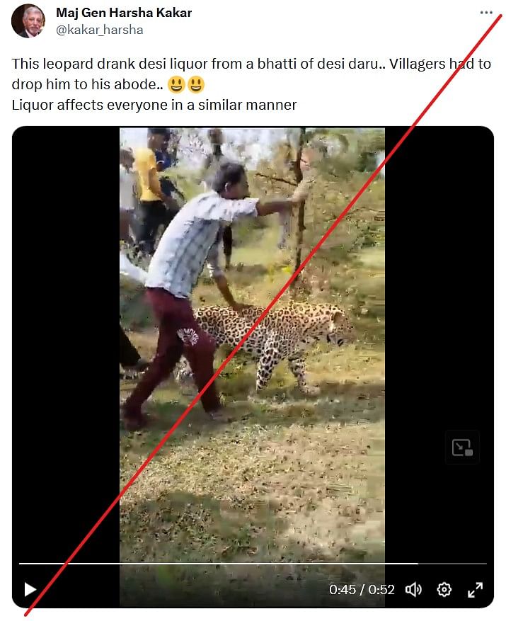 The video shows villagers of Dewas, Madhya Pradesh abusing a sick leopard, he was not intoxicated as claimed. 