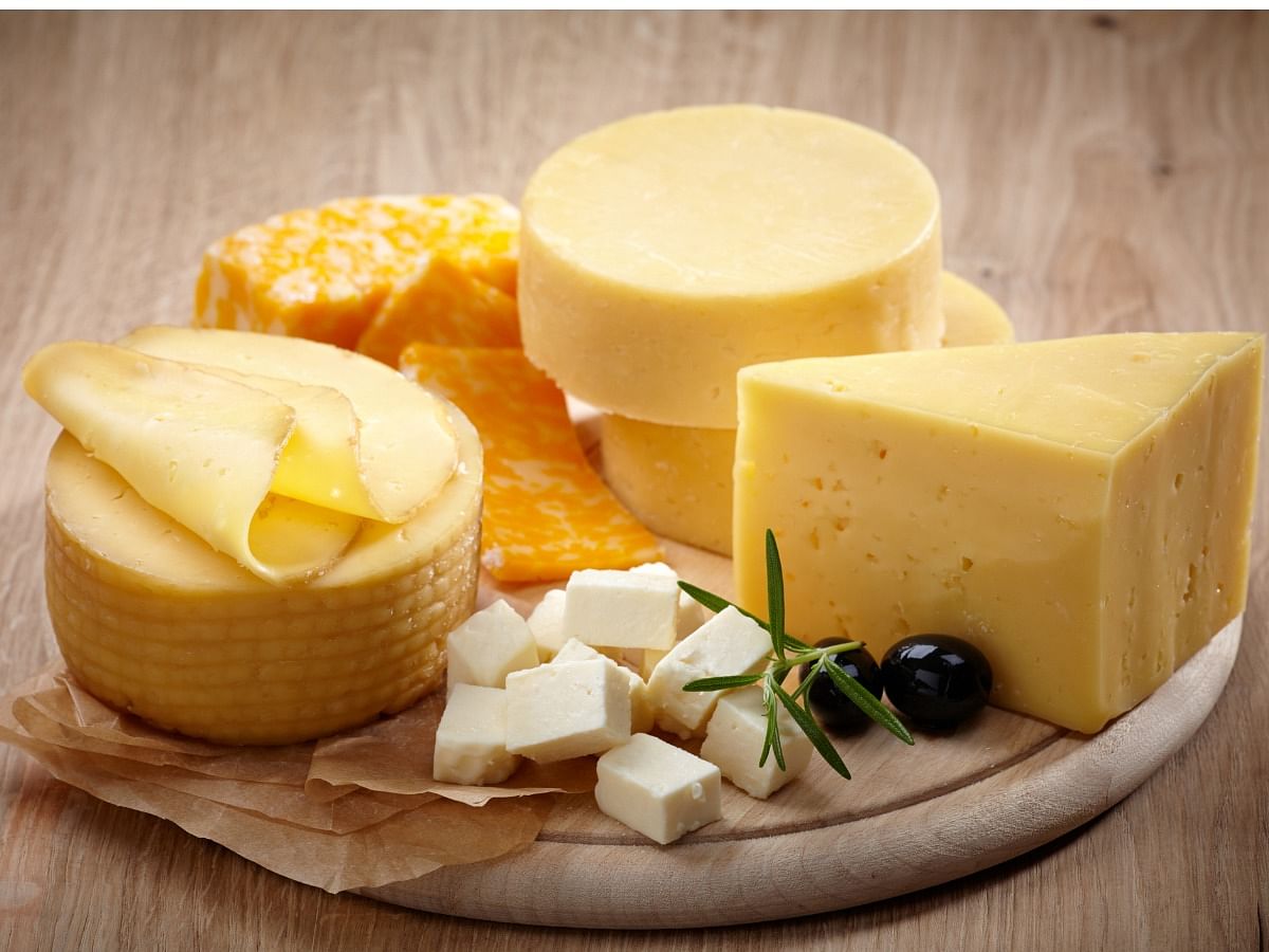 <div class="paragraphs"><p>cheese and its benefits</p></div>