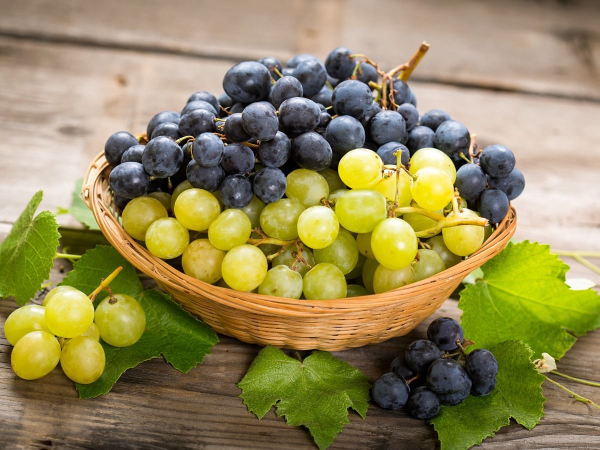 <div class="paragraphs"><p>Benefits of green and black grapes</p></div>