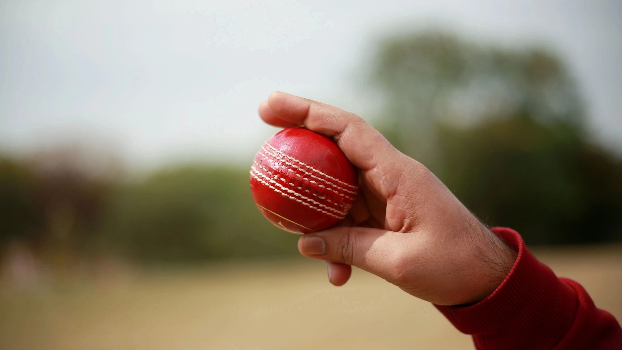 live cricket ball by ball streaming