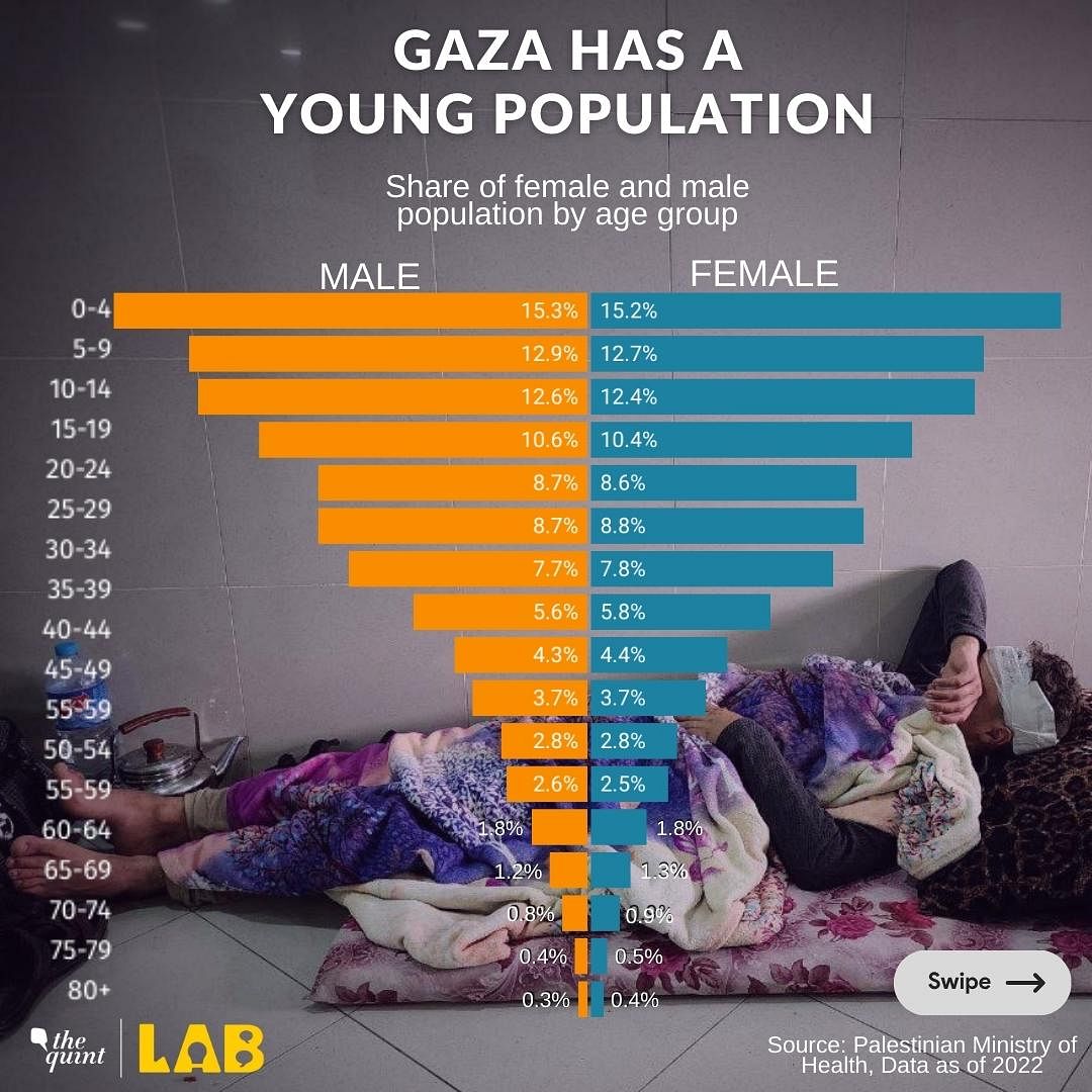 Through data, we examine the ramifications of the war on Palestinians living in Gaza.