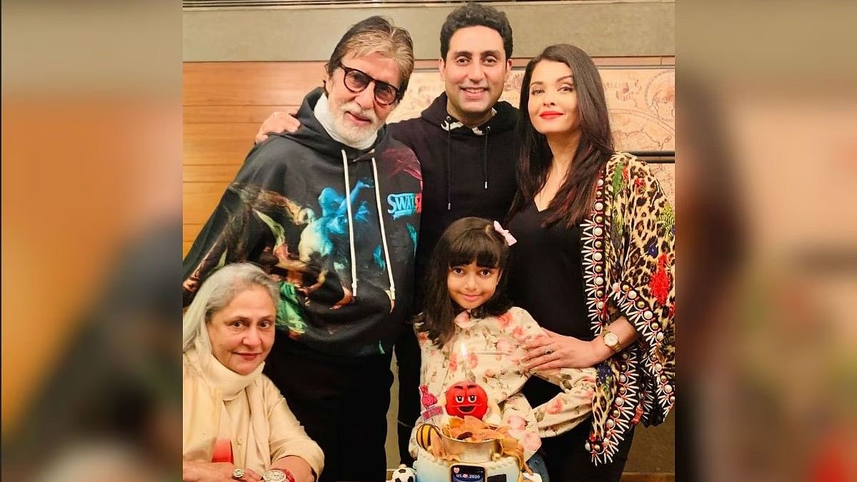 <div class="paragraphs"><p>Amitabh Bachchan calls his family "mini family".</p></div>