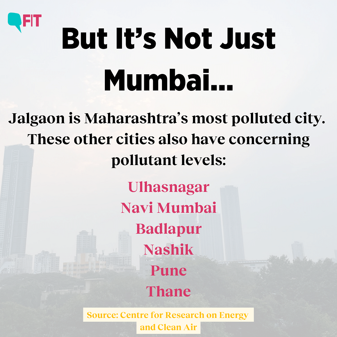 The Bombay High Court has taken suo moto cognisance of Mumbai's  deteriorating air quality on Tuesday, 31 October. 