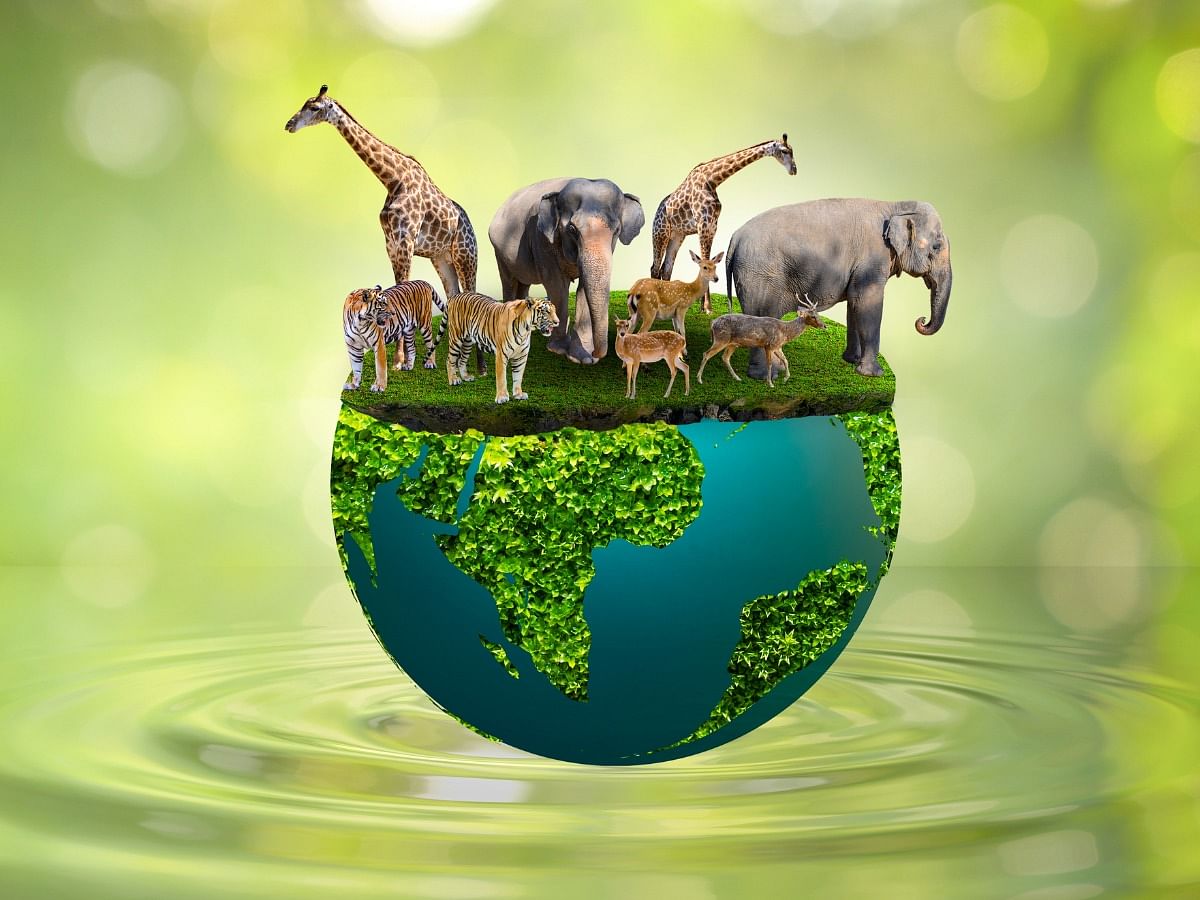 <div class="paragraphs"><p>Know everything about World Animal Welfare Day 2023</p></div>