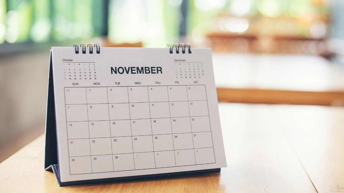 <div class="paragraphs"><p>Check out the list of all Important Days in November 2023.</p></div>