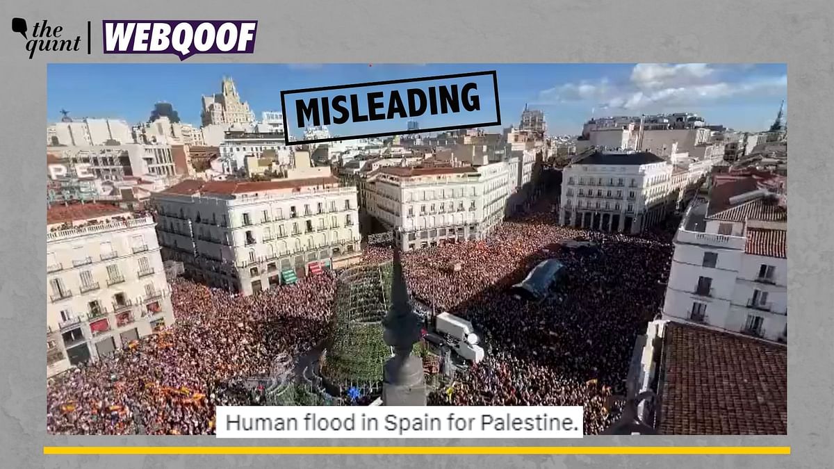 No, This Video Does Not Show Massive Pro-Palestine Protests in Spain
