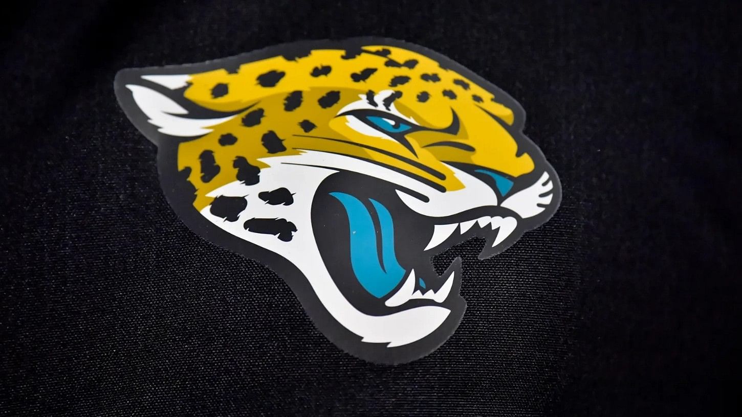 <div class="paragraphs"><p>An Indian-origin man, Amit Patel, swindled $22 million (₹183.3 crore) from an American Football team, Jacksonville Jaguars, from 2019-2023.</p></div>