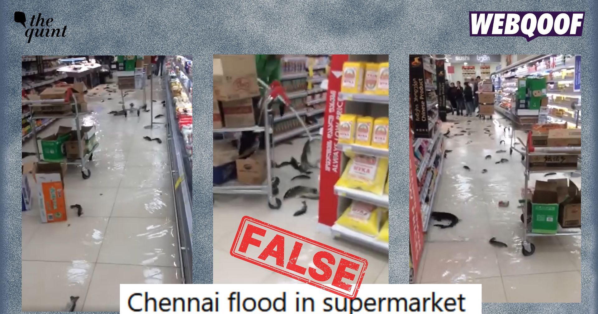Old Clip of Fish Flopping Around in Georgia Falsely Linked to Chennai Floods