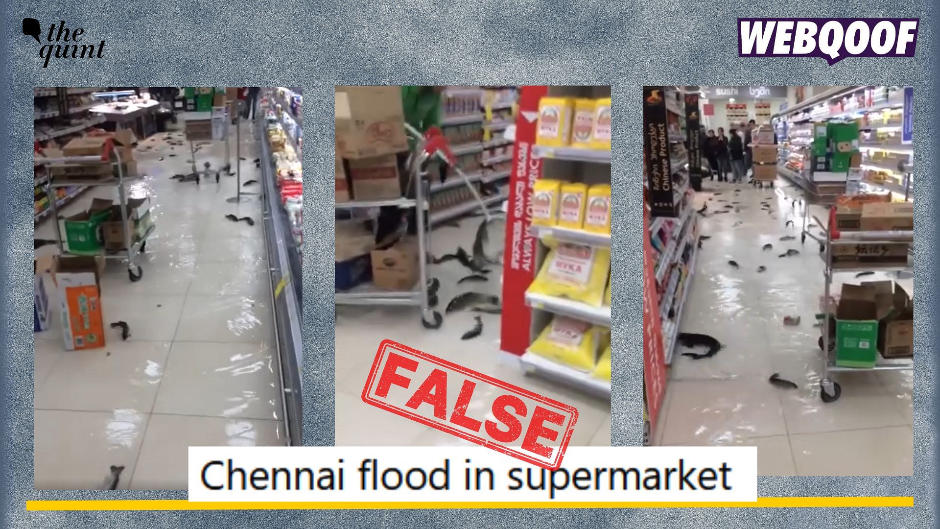 <div class="paragraphs"><p>Fact-check: An old video showing several fishes wriggling around in Georgia's supermarket is being falsely linked to Chennai floods. </p></div>
