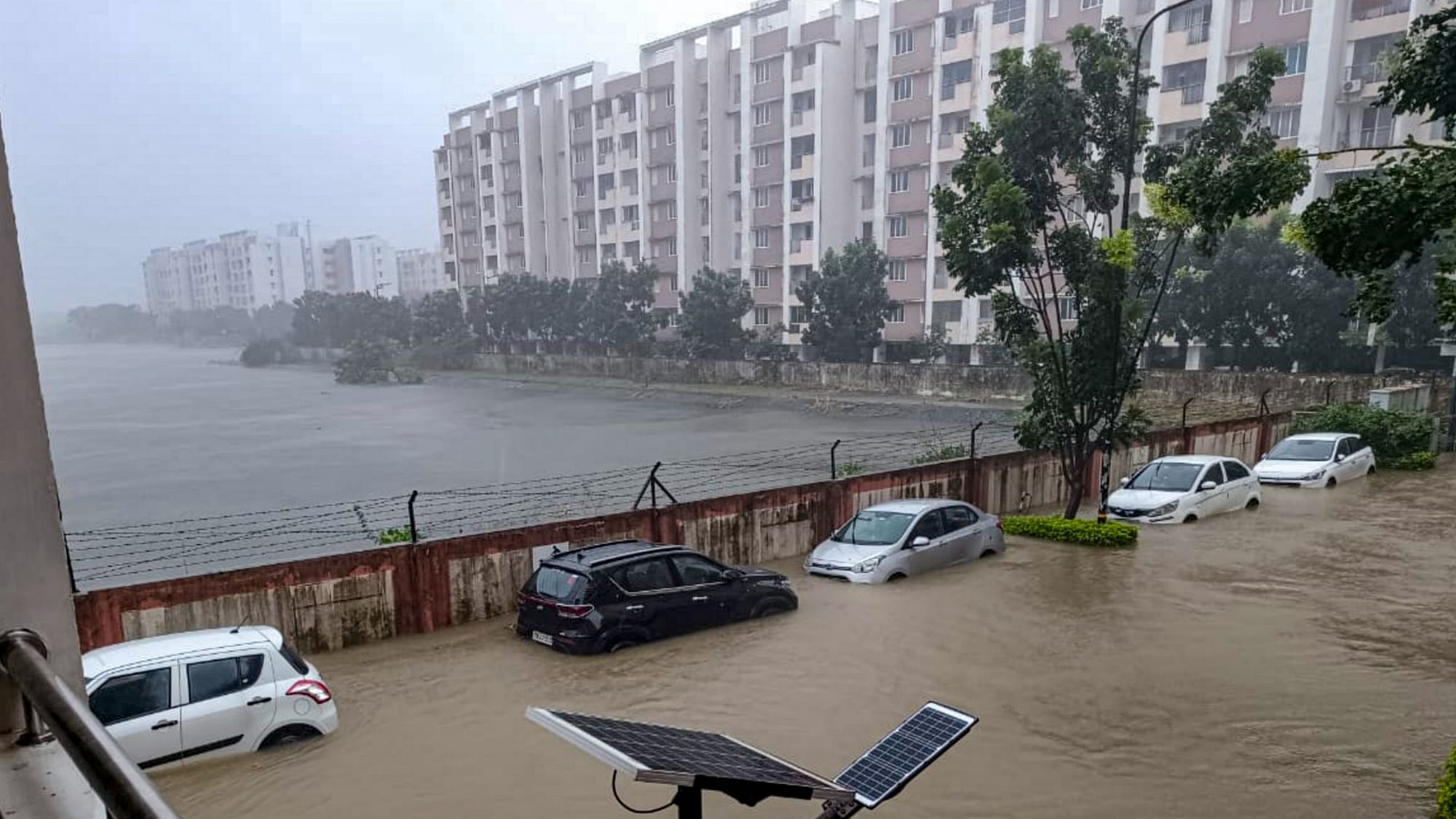 <div class="paragraphs"><p>Cyclone Michaung:&nbsp;While at least 12 people died amid extremely heavy rainfall in Chennai, a four-year-old boy lost his life in Andhra Pradesh's Tirupati district.</p></div>