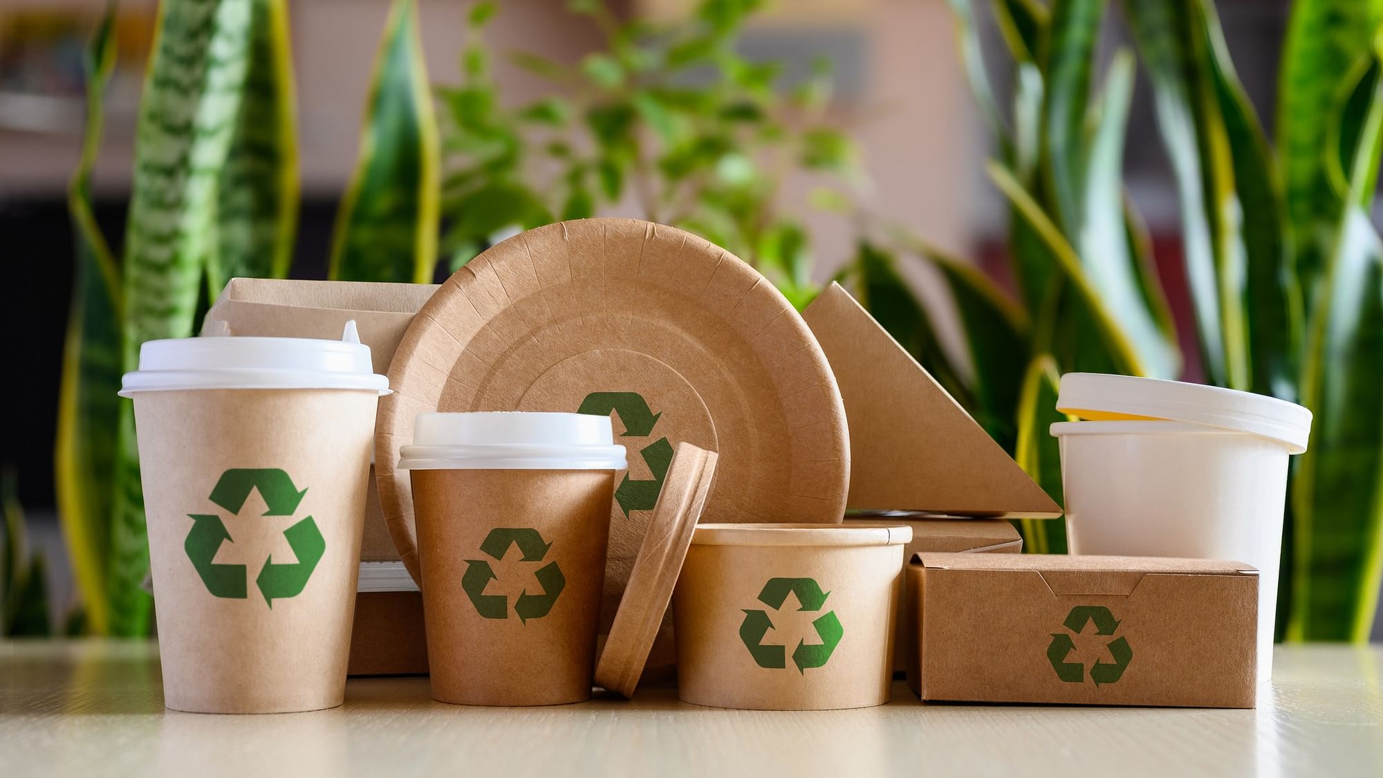 <div class="paragraphs"><p>Pioneering companies that view environmental responsibility as an integral part of their identity are at the forefront of this sustainable packaging revolution.</p></div>