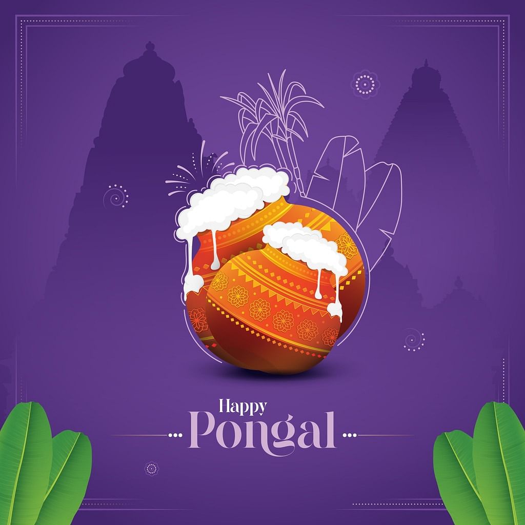 Share the Pongal 2024 images, wishes, messages, and quotes with friends and family on the winter harvest festival