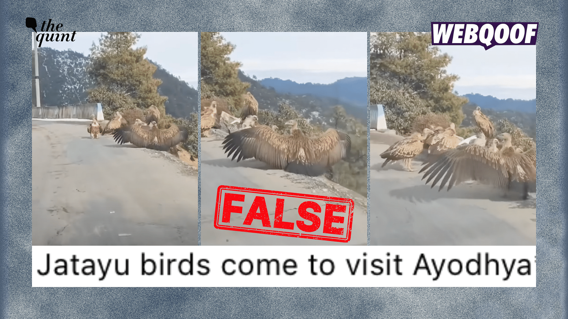 <div class="paragraphs"><p>The video of a committee of vultures is old and does not show a recent video of the birds gathering in Ayodhya.</p></div>