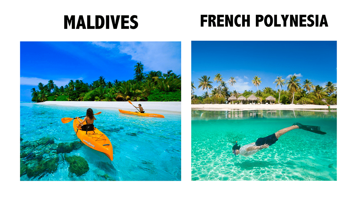 Several social media users shared fictitious figures regarding cancellations as #BoycottMaldives took X by storm.