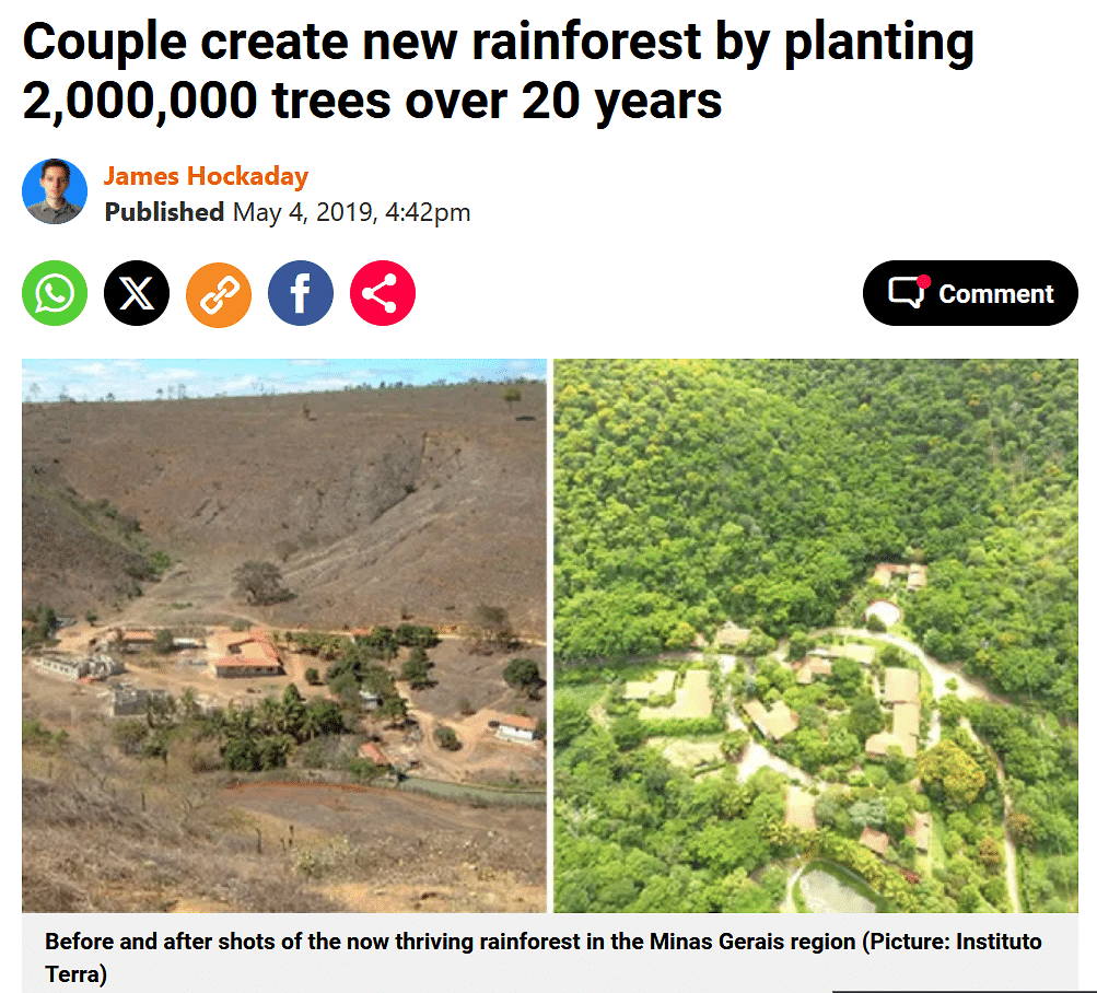 These images are from Brazil. A couple transformed a barren land into a forest by planting trees. 