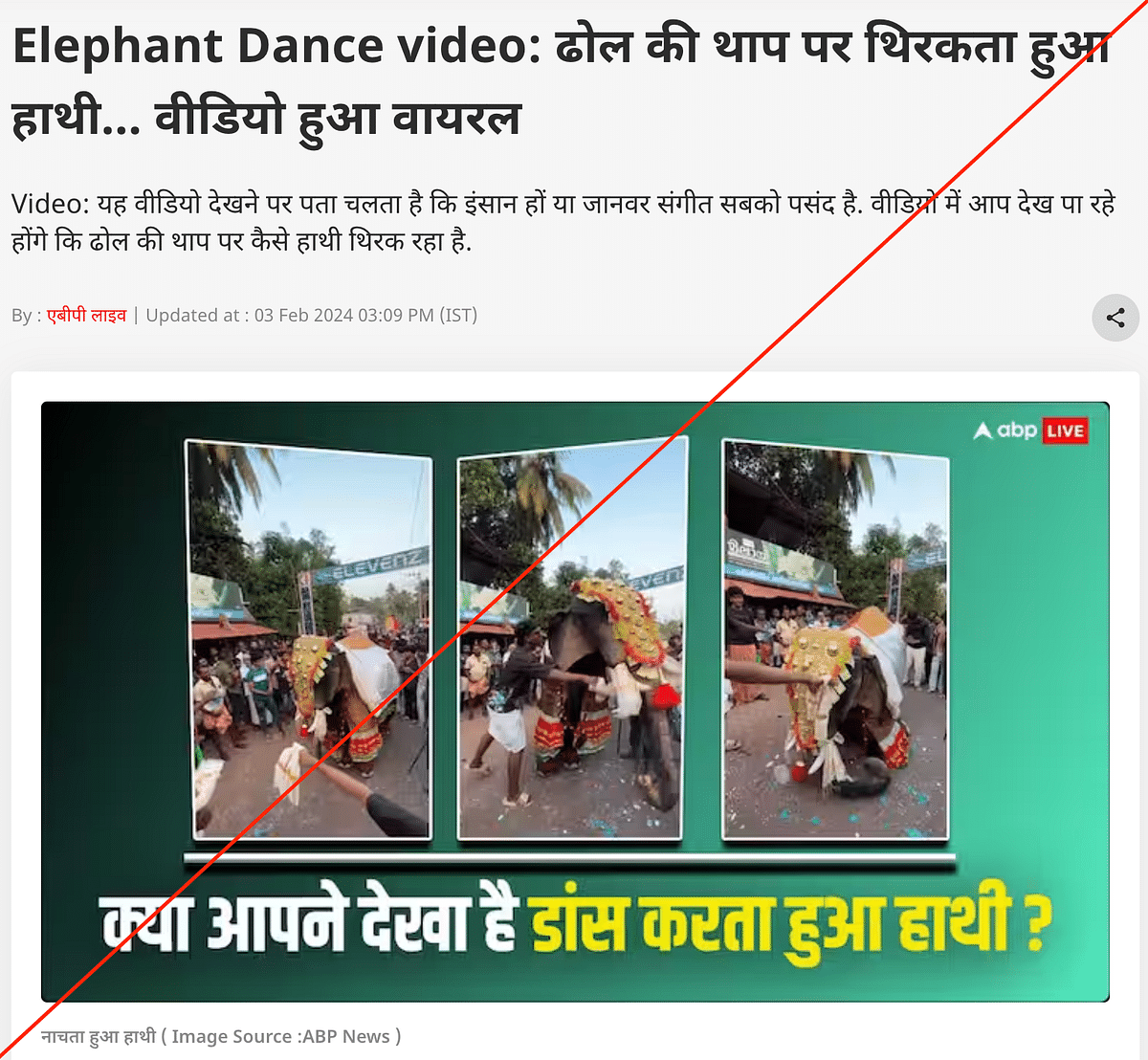 The organiser of the event told The Quint that the viral video is of a person performing with an elephant costume.