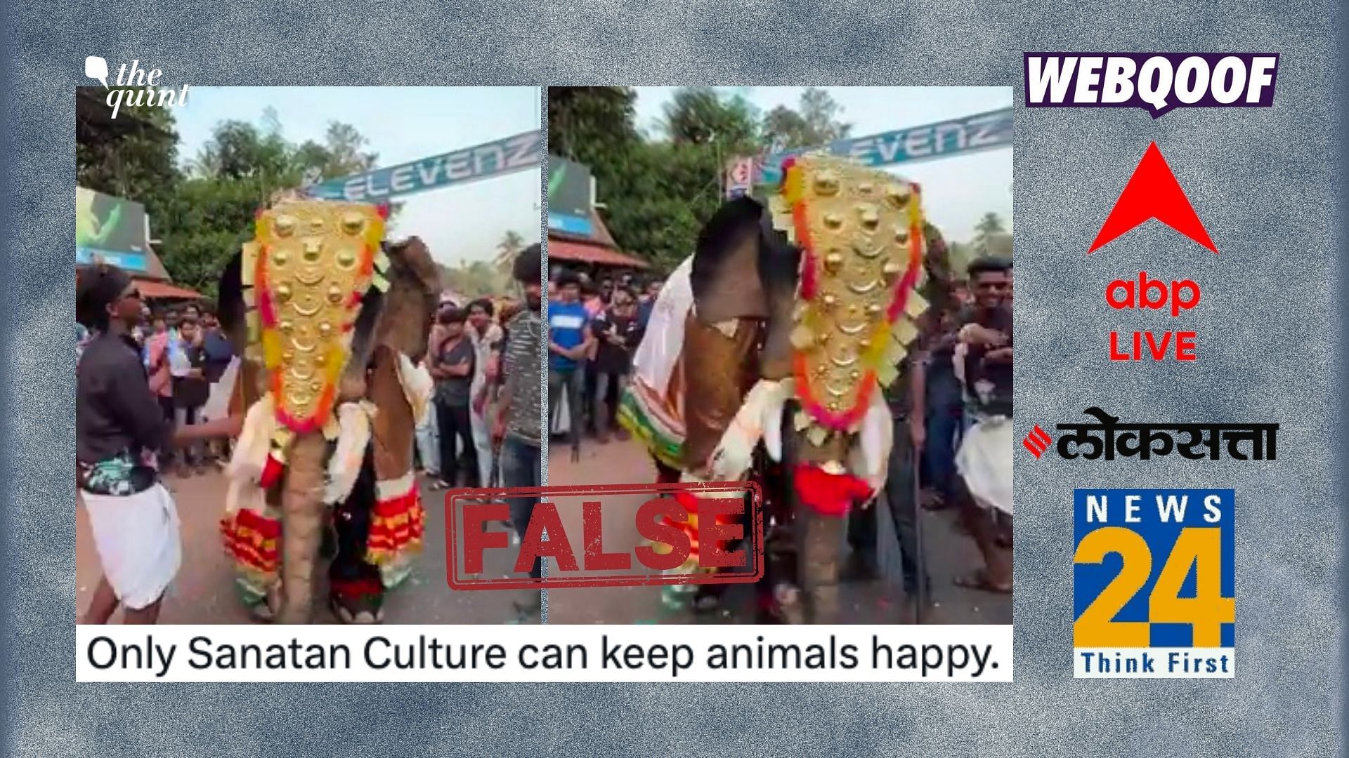 <div class="paragraphs"><p>A video of a 'dancing elephant' has gone viral on social media and has also been shared by media organisations.</p></div>