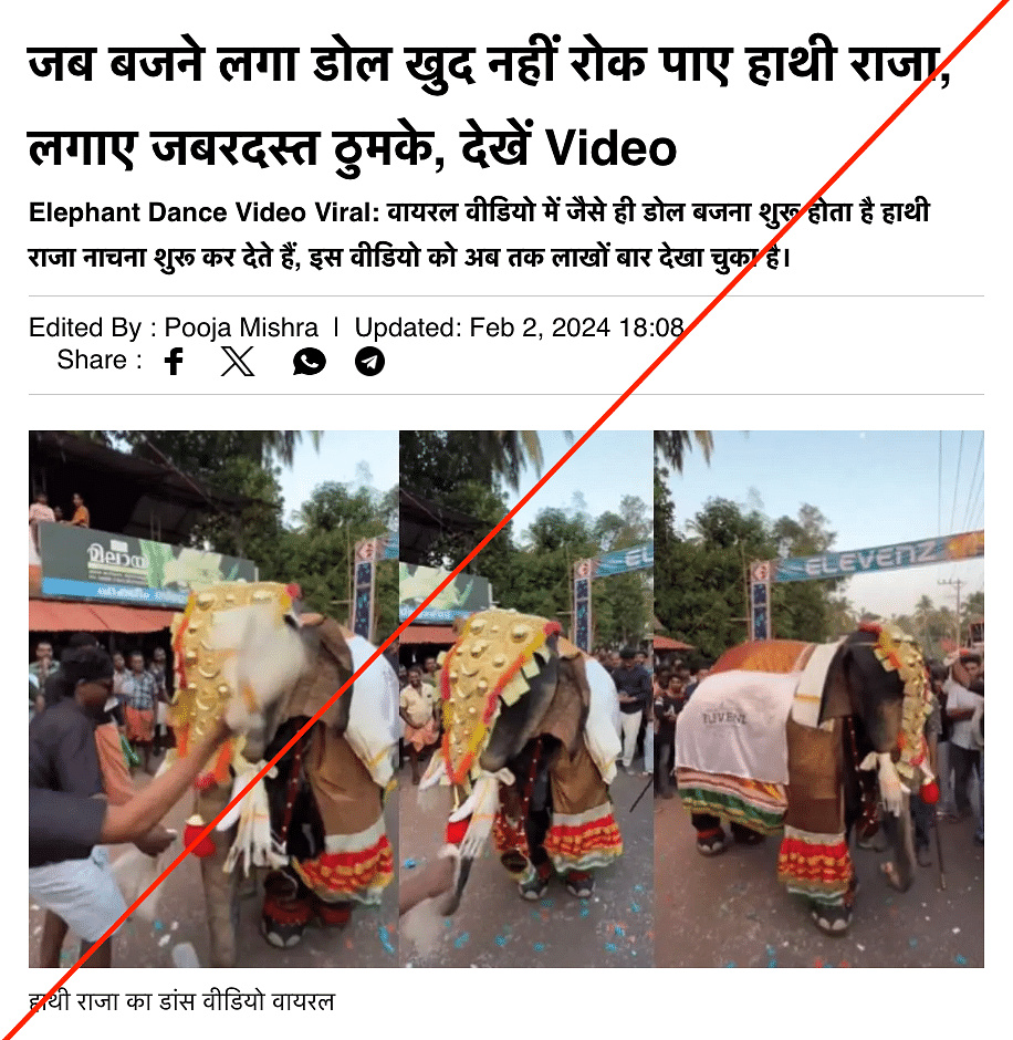 The organiser of the event told The Quint that the viral video is of a person performing with an elephant costume.