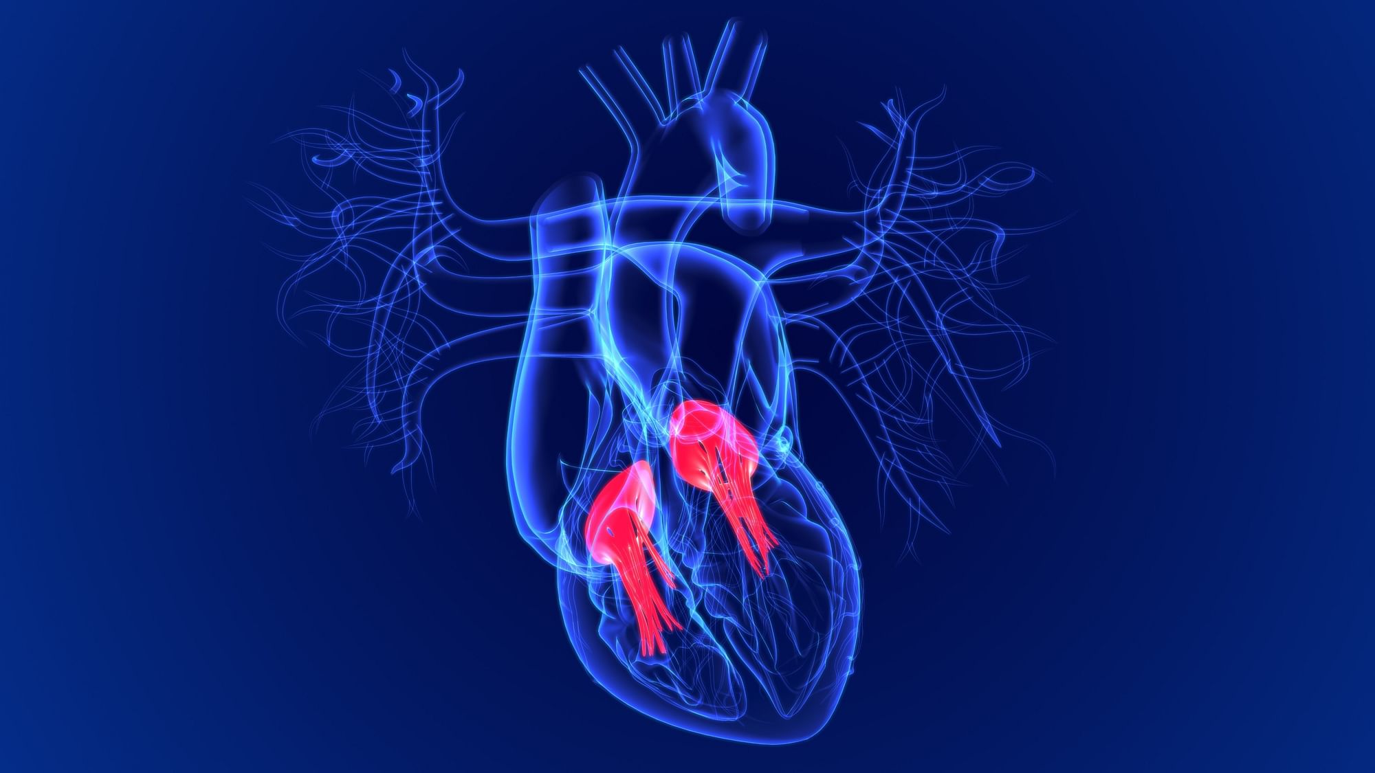 <div class="paragraphs"><p>National Heart Valve Disease Awareness Day 2024 date is stated here.</p></div>
