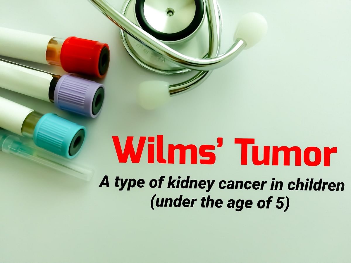 <div class="paragraphs"><p>Know everything about&nbsp;Wilms' Tumor</p></div>