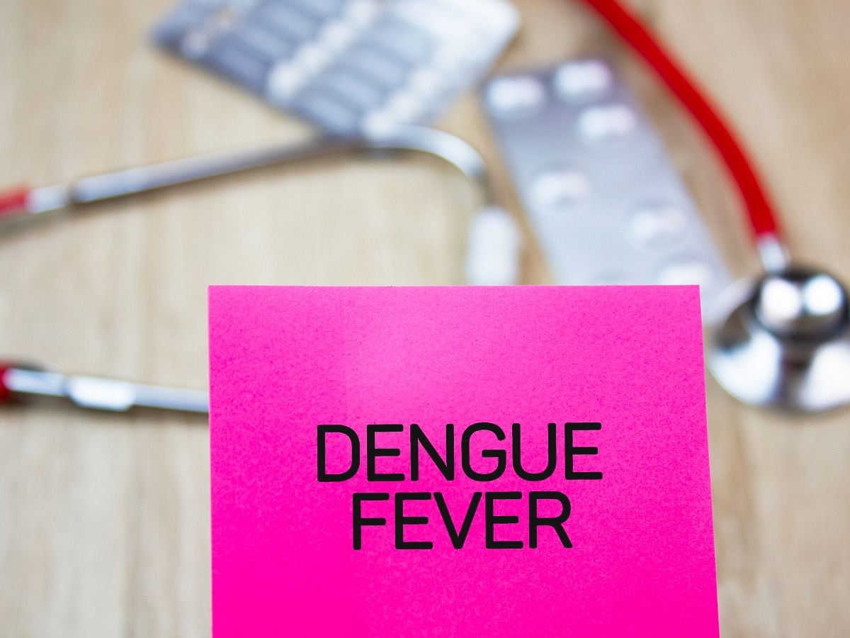 <div class="paragraphs"><p>Know the warning signs of dengue fever</p></div>