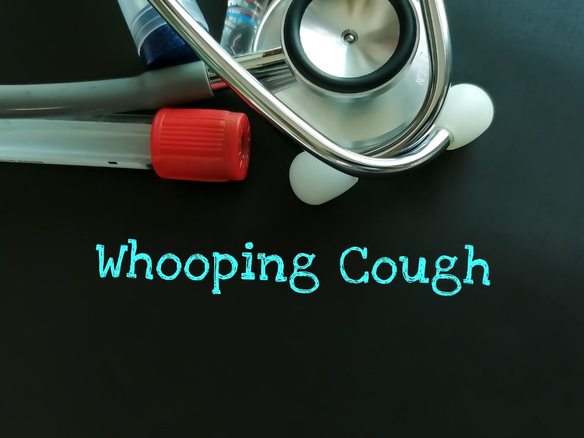 <div class="paragraphs"><p>Know everything about&nbsp;Whooping Cough</p></div>