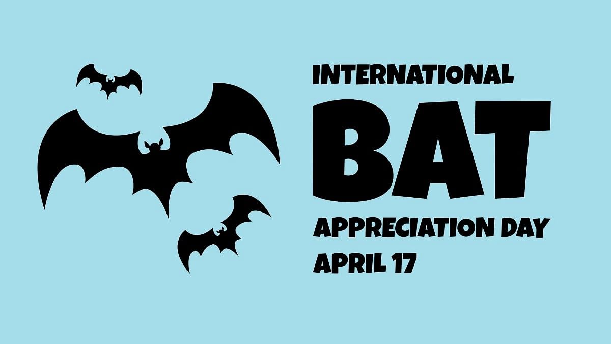 <div class="paragraphs"><p>International Bat Appreciation Day 2024.</p></div>