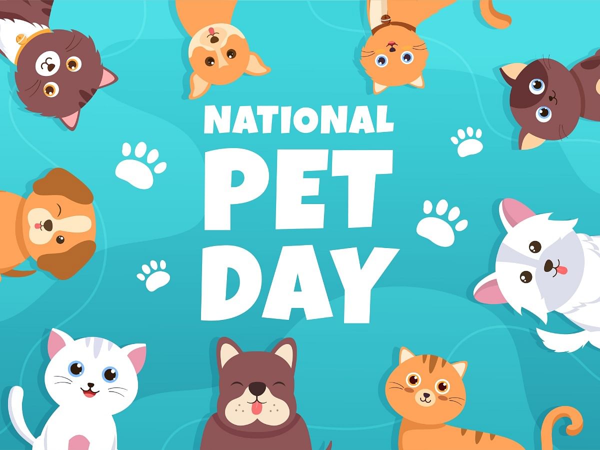 <div class="paragraphs"><p>Know everything about&nbsp;National Pet Day 2024</p></div>
