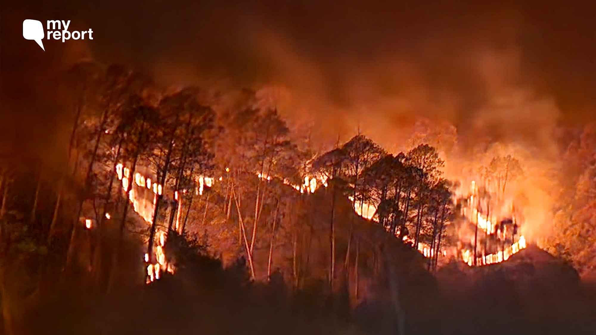 <div class="paragraphs"><p>Uttarakhand has witnessed several forest fire incidents since April.</p></div>
