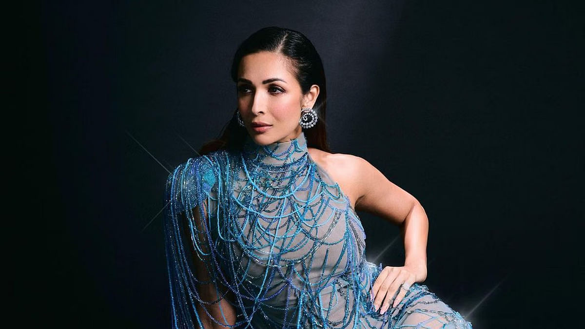 <div class="paragraphs"><p>Malaika Arora recently in interview said she has built her career despite being criticized and trolled.</p></div>