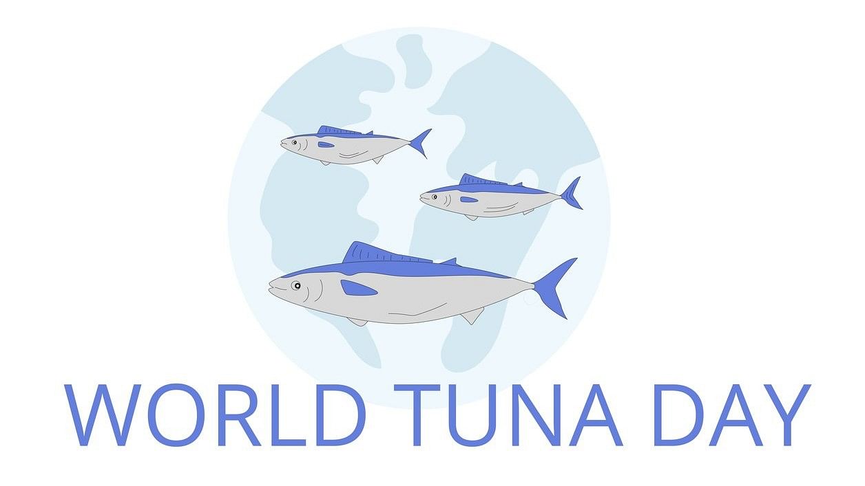 <div class="paragraphs"><p>World Tuna Day 2024.</p></div>