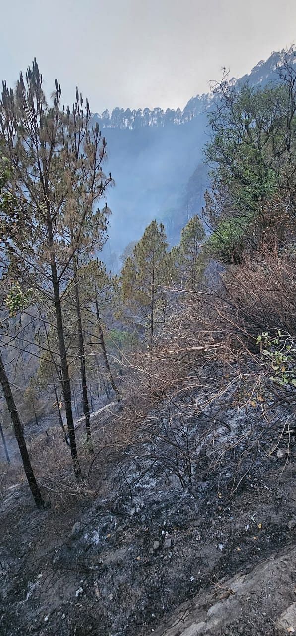 According to the forest dept, Uttarakhand has recorded 606 forest fires since 1 Nov 2023.