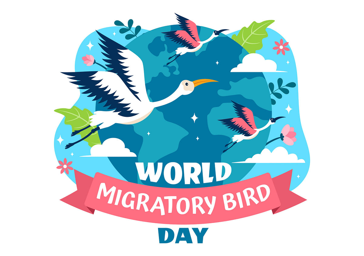 World Migratory Bird Day is celebrated every year on the second Saturday of May and October. 