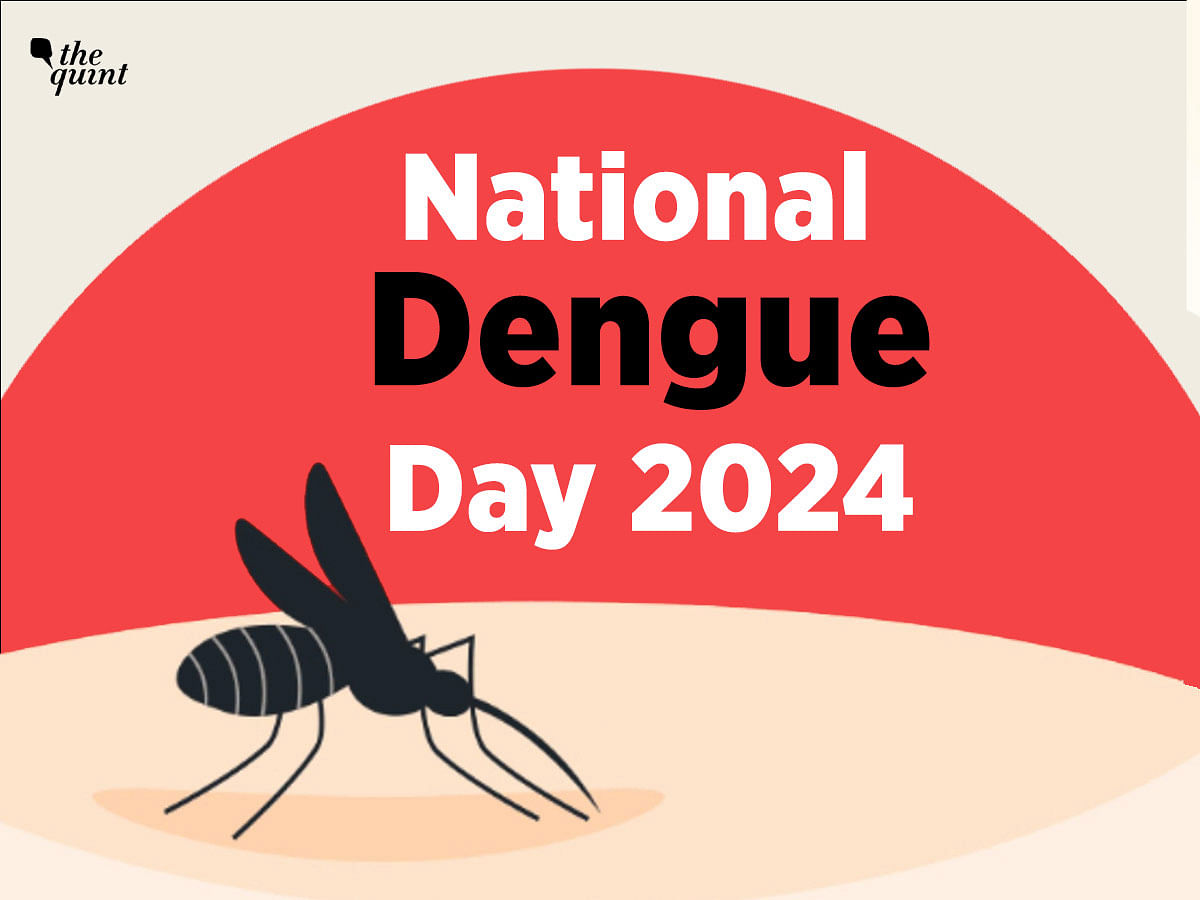 <div class="paragraphs"><p>Know everything about&nbsp;National Dengue Day 2024</p></div>