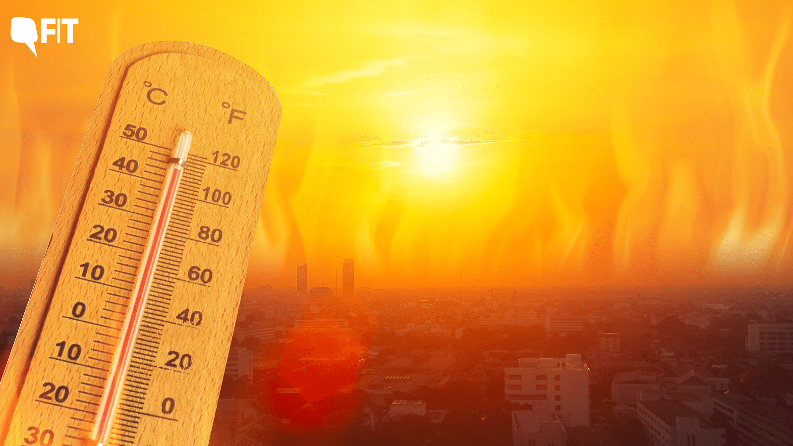 <div class="paragraphs"><p>The guidelines come after the IMD's warning that the region will see “above-normal maximum temperatures” in May.</p></div>