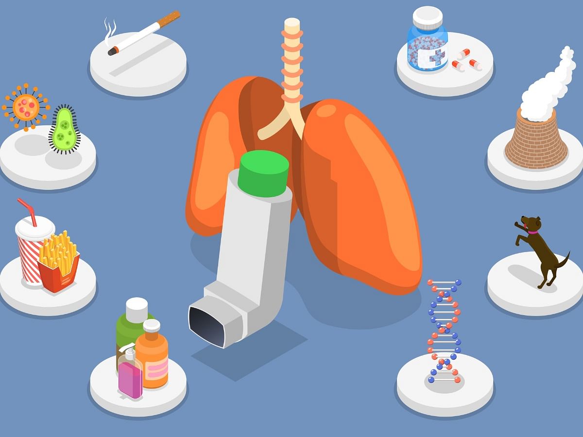 <div class="paragraphs"><p>Asthma Causes</p></div>