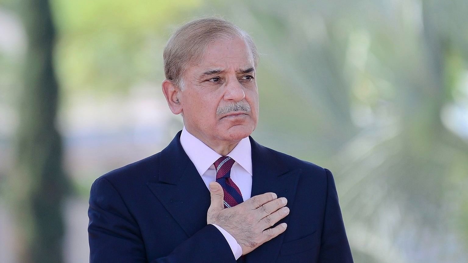 <div class="paragraphs"><p>Pakistan Prime Minister&nbsp;Shehbaz Sharif.</p></div>