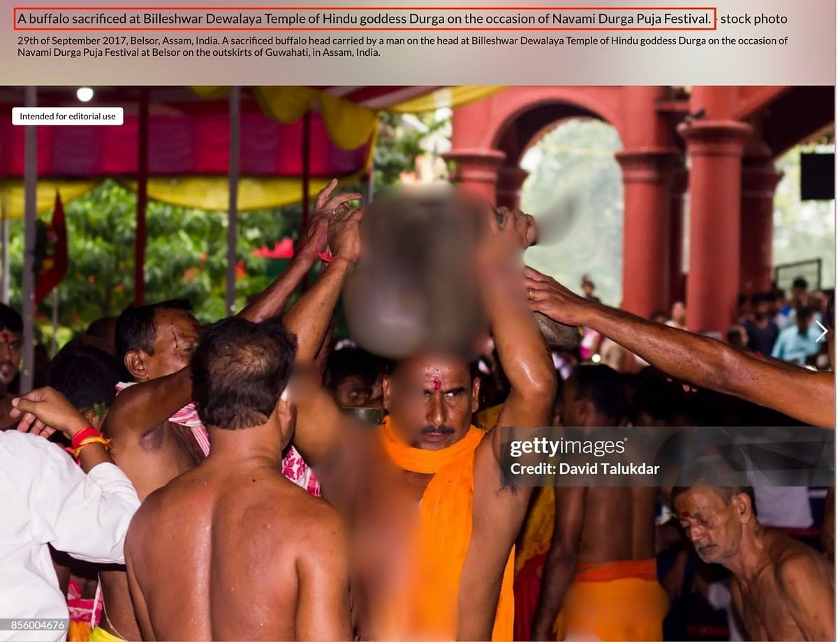 The photo dates back to 2017 and shows a man participating in ritual animal sacrifice during Durga Puja in Assam.