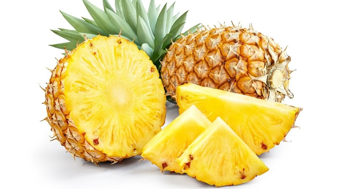 <div class="paragraphs"><p>International Pineapple Day 2024: Know the origin and importance of the day.</p></div>